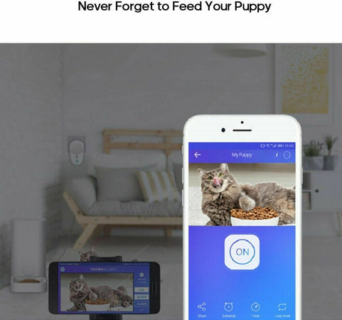 Sonoff S26TPF-DE Wifi Presa Intelligente Socket Timer App Per Alexa Google Casa Fai da te/Materiale elettrico/Prese elettriche ed accessori/Spine intelligenti e telecomandate Zencoccostore - Formia, Commerciovirtuoso.it