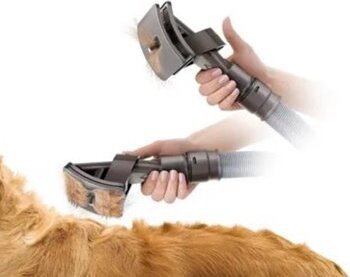 Spazzola-Groom---Pulizia-Cani-Toeletta-Cardatura
