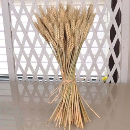 Spighe Di Grano Fascio 80 Pezzi Colore Naturale Artificiali H92cm Decorazione Fiori Finti Trade Shop italia - Napoli, Commerciovirtuoso.it