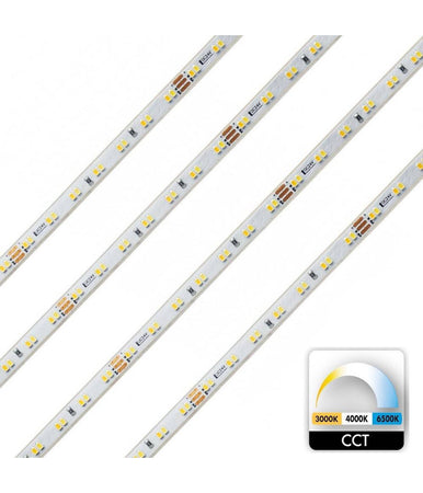 Striscia 980led 62w Cct Da 3000k A 6500k 24v Impermeabile Dimmerabile Bobina 5mt