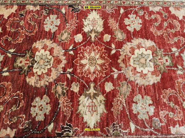 Tappeto-Sultanabad-Ziegler-Extra-Gold-230x170---Eleganza-Senza-Tempo-In-Beige-E-Arancione