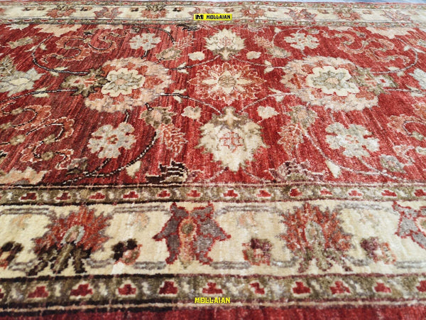 Tappeto-Sultanabad-Ziegler-Extra-Gold-230x170---Eleganza-Senza-Tempo-In-Beige-E-Arancione