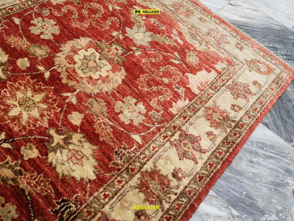 Tappeto-Sultanabad-Ziegler-Extra-Gold-230x170---Eleganza-Senza-Tempo-In-Beige-E-Arancione