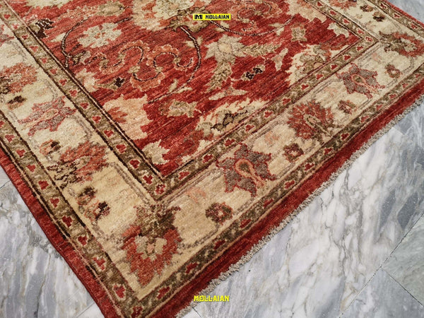 Tappeto-Sultanabad-Ziegler-Extra-Gold-230x170---Eleganza-Senza-Tempo-In-Beige-E-Arancione