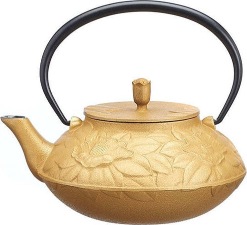 Teiera in ghisa Ajiro Tsubaki oro (800 cc) Casa e cucina/Tè e caffè/Teiere con infusore MariTea bottega del Tè - Lodi, Commerciovirtuoso.it