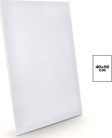 Tela-Per-Dipingere-Canvas-Rettangolare-40x50-Cm-Artico-Disegno-Arte-Pittura