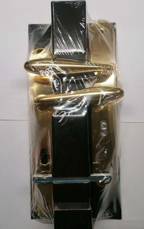 THEMA---1-MANIGLIA-CON-PLACCA-SERIE-CIGNO-ORO-LUCIDO-8X70-ART.-MTH103G0170