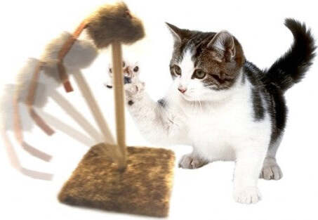 Tiragraffi-Tira-Graffi-Con-Molla-Topino-Oscillante-Peluche-Gioco-Per-Gatti-Gatto