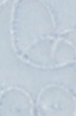 Tutina  Interlock 139,1 Taglia 3 Azzurro Moda/Prima infanzia/Abbigliamento/Bambino 0-24/Tutine e body/Pagliaccetti La Casa Del Bebè - Napoli, Commerciovirtuoso.it