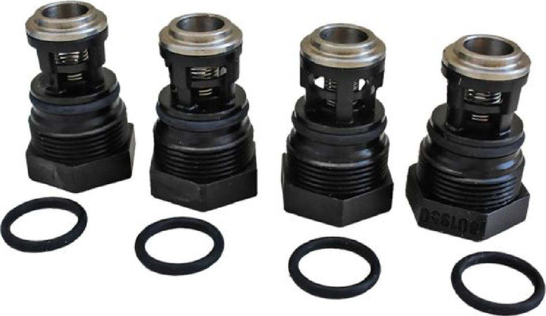 Valvole per motopompa irroratrice kit 4 pezzi per modelli 'AR 202 e AR 252' Giardino e giardinaggio/Decorazioni per il giardino/Stagni e giardini acquatici/Pompe/Pompe ad alta pressione La Zappa - Altamura, Commerciovirtuoso.it