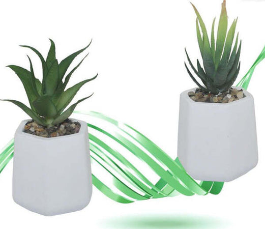 Vaso-In-Ceramica-Con-Piantina-Artificiale-Pianta-Idea-Regalo-Bomboniera-15x8-Cm