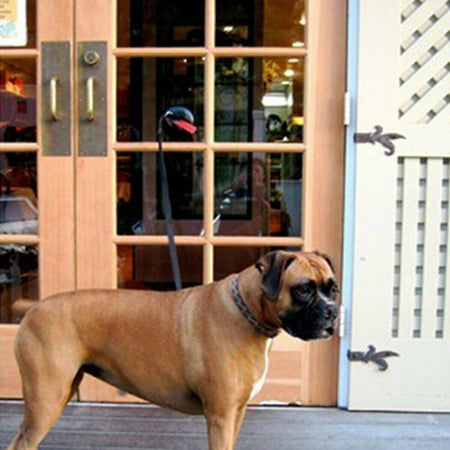 VENTOSE PORTA BAGAGLI VALIGIE BICICLETTA SICUREZZA AUTO FURGONE VIAGGIO VACANZA  Trade Shop italia - Napoli, Commerciovirtuoso.it