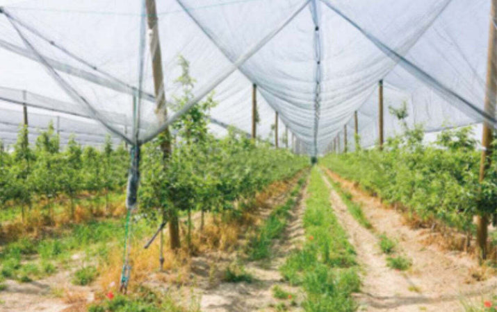 VERDEMAX---RETE-ANTIGRANDINE-2x20MT