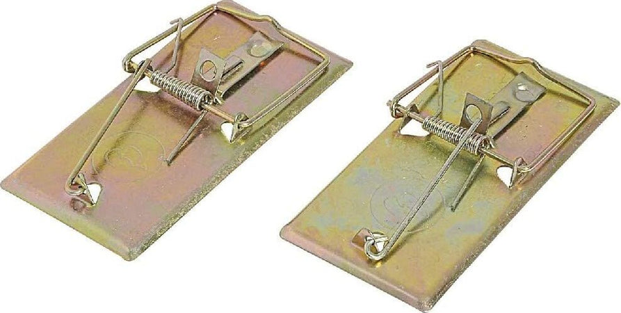 VERDEMAX---TRAPPOLA-PER-TOPI-IN-METALLO,-2-PEZZI