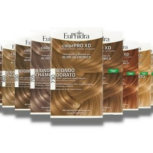 euphidra-colorpro-xd-1-300x300.jpg.pagespeed.ce.wQigMZfKmt