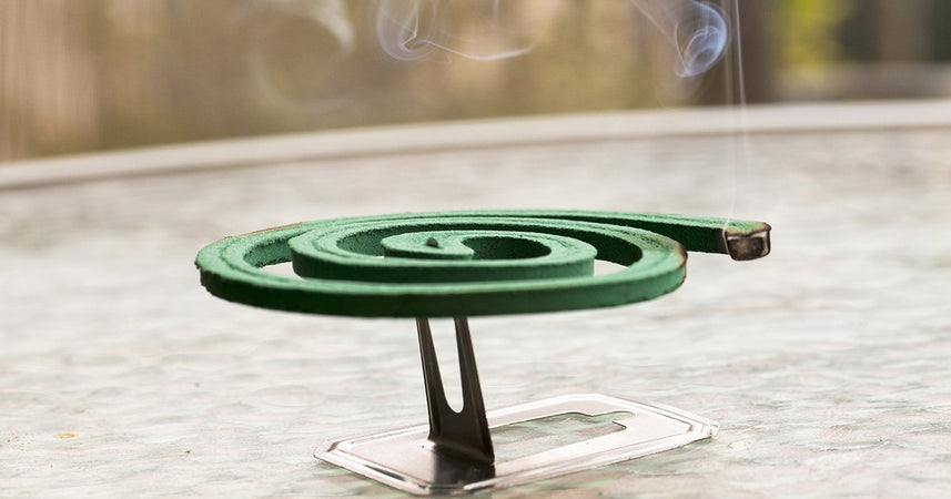 Coccio diffusore forato con 2 spirali profumatori citronella