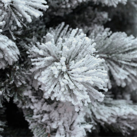 Albero di Natale Innevato "Milton" in PP Effetto Aghi di Pino + PVC di altissima qualità Casa e cucina/Decorazioni per interni/Addobbi e decorazioni per ricorrenze/Decorazioni natalizie/Alberi di natale artificiali MagiediNatale.it - Altamura, Commerciovirtuoso.it