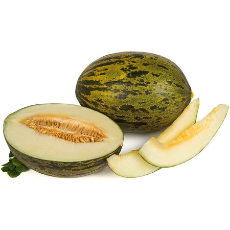 Semi di melone "Valenciano temprano" piante per orto e giardino coltivazione domestica e professionale Giardino e giardinaggio/Piante semi e bulbi/Piante da esterno/Vegetali La Zappa - Altamura, Commerciovirtuoso.it