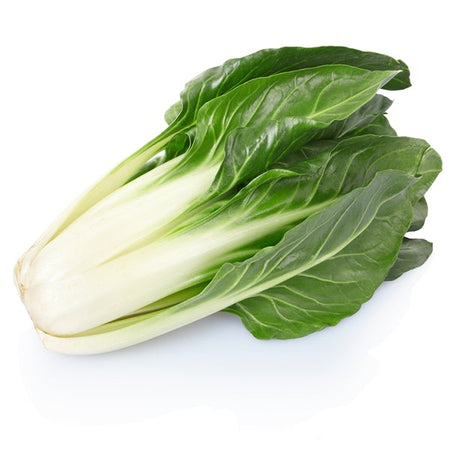 Semi di Bietola "Da coste a foglia liscia verde invernale" piante per orto e giardino Giardino e giardinaggio/Piante semi e bulbi/Piante da esterno/Vegetali La Zappa - Altamura, Commerciovirtuoso.it