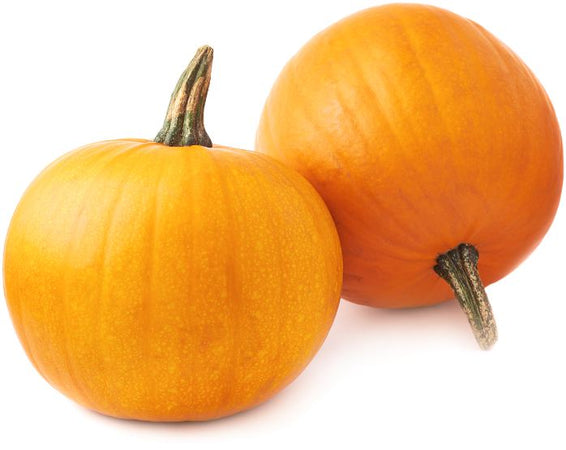 Semi di zucca "Mammoth gold" piante per orto e giardino coltivazione domestica e professionale Giardino e giardinaggio/Piante semi e bulbi/Piante da esterno/Vegetali La Zappa - Altamura, Commerciovirtuoso.it