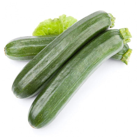 Semi di zucchino "Diamant Hybrid" piante per orto e giardino coltivazione domestica e professionale Giardino e giardinaggio/Piante semi e bulbi/Piante da esterno/Vegetali La Zappa - Altamura, Commerciovirtuoso.it