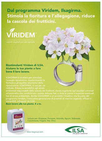 Biostimolante per Fioritura E Allegaggione "ilsa Vegetus" a Base Di Idrolizzato Enzimatico Fabaceae 1 Lt Giardino e giardinaggio/Giardinaggio/Fertilizzanti e concimi/Fertilizzanti per fiori La Zappa - Altamura, Commerciovirtuoso.it