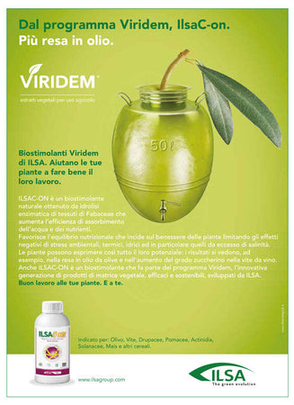 Biostimolante Naturale per Ulivi "ilsac-On" a Base Di Idrolizzato Enzimatico Fabaceae 1 Lt Giardino e giardinaggio/Giardinaggio/Fertilizzanti e concimi/Fertilizzanti per vegetali La Zappa - Altamura, Commerciovirtuoso.it