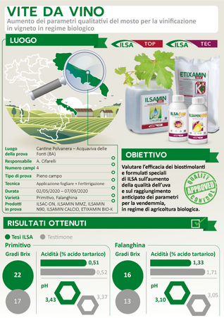Concime Organico Azotato "ilsamin Mmz" a Base Di Magnesio E Manganese per Frutteti E Vigneti 1 Lt Giardino e giardinaggio/Giardinaggio/Fertilizzanti e concimi/Fertilizzanti per vegetali La Zappa - Altamura, Commerciovirtuoso.it