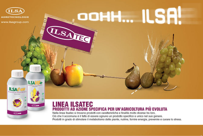 Biostimolante Naturale per Ulivi "ilsac-On" a Base Di Idrolizzato Enzimatico Fabaceae 1 Lt Giardino e giardinaggio/Giardinaggio/Fertilizzanti e concimi/Fertilizzanti per vegetali La Zappa - Altamura, Commerciovirtuoso.it