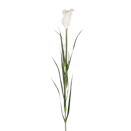 Ramo di "Festuca Pampas" bianco, decorazione natalizia da 180 cm Casa e cucina/Decorazioni per interni/Addobbi e decorazioni per ricorrenze/Decorazioni natalizie/Ghirlande e corone MagiediNatale.it - Altamura, Commerciovirtuoso.it
