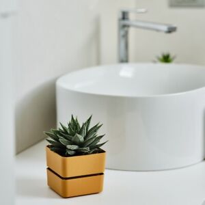 Vaso quadrato "Veleta" in Plastica da esterno e giardino per piante e fiori Giardino e giardinaggio/Attrezzi da giardino e attrezzature per l'irrigazione/Vasi e accessori per piante/Vasi tradizionali Decor Space - Altamura, Commerciovirtuoso.it