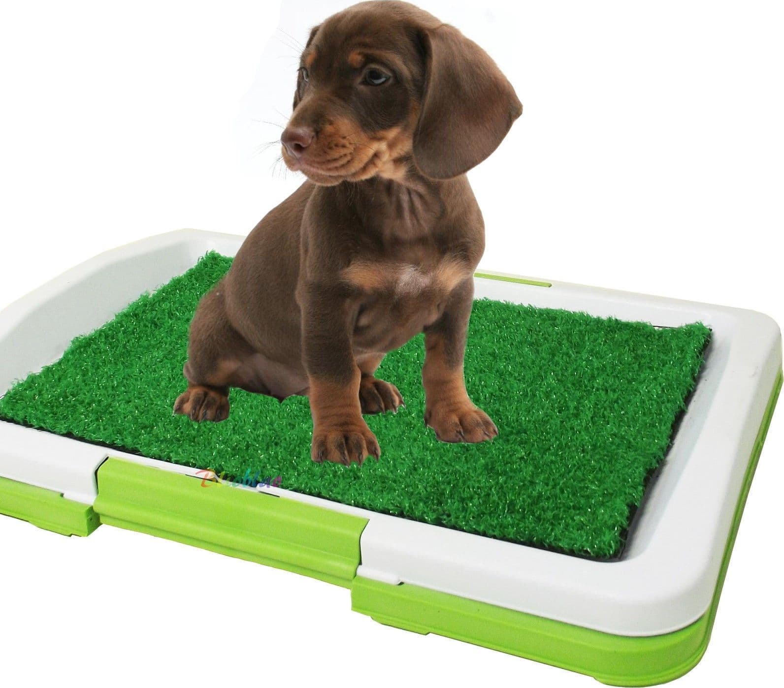 LETTIERA MAXI PER CUCCIOLO CANE ERBA WC PANNO ASSORBENTE POTTY CUCCIOLI CASA - 2