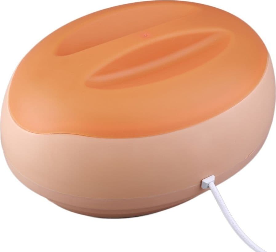 SCALDACERA PROFESSIONALE CON TERMOSTATO FORNELLO CERETTA 200 W CERA 1 LITRO - 2
