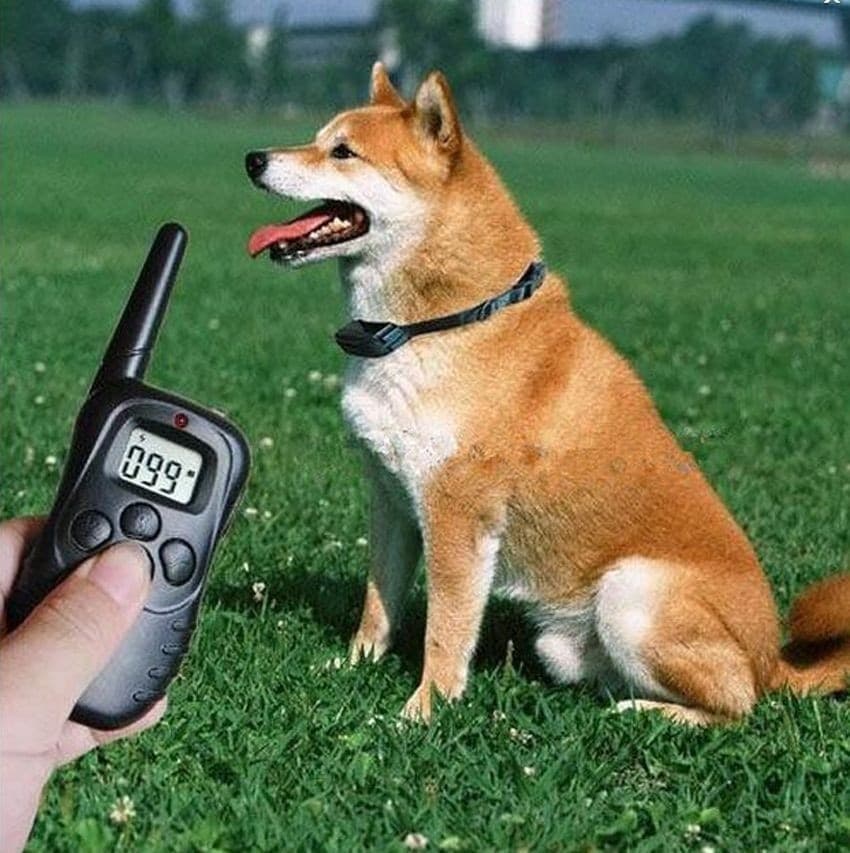COLLARE CON CONTROLLO REMOTO CANE GATTO DISPLAY LCD REMOTE PET TRAINING COLLAR - 3