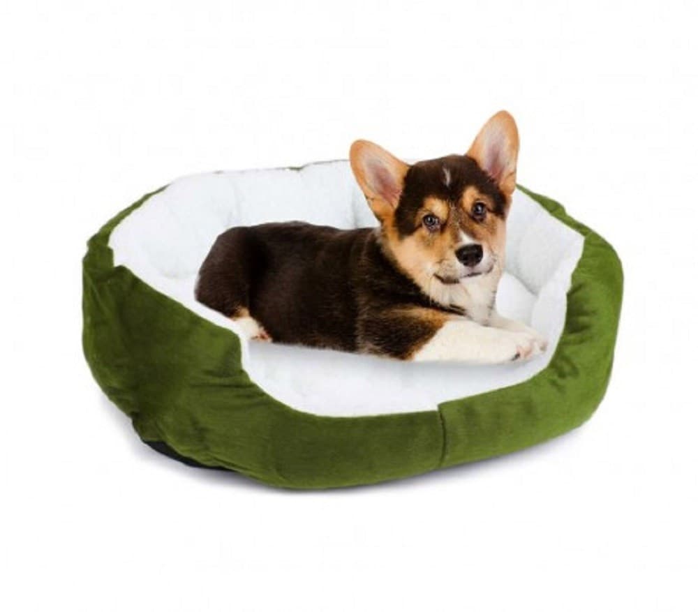 CUCCIA MORBIDA PER CANI E GATTI INVERNO CALDO IN PILE 42X30X15CM CON CUSCINO - 5