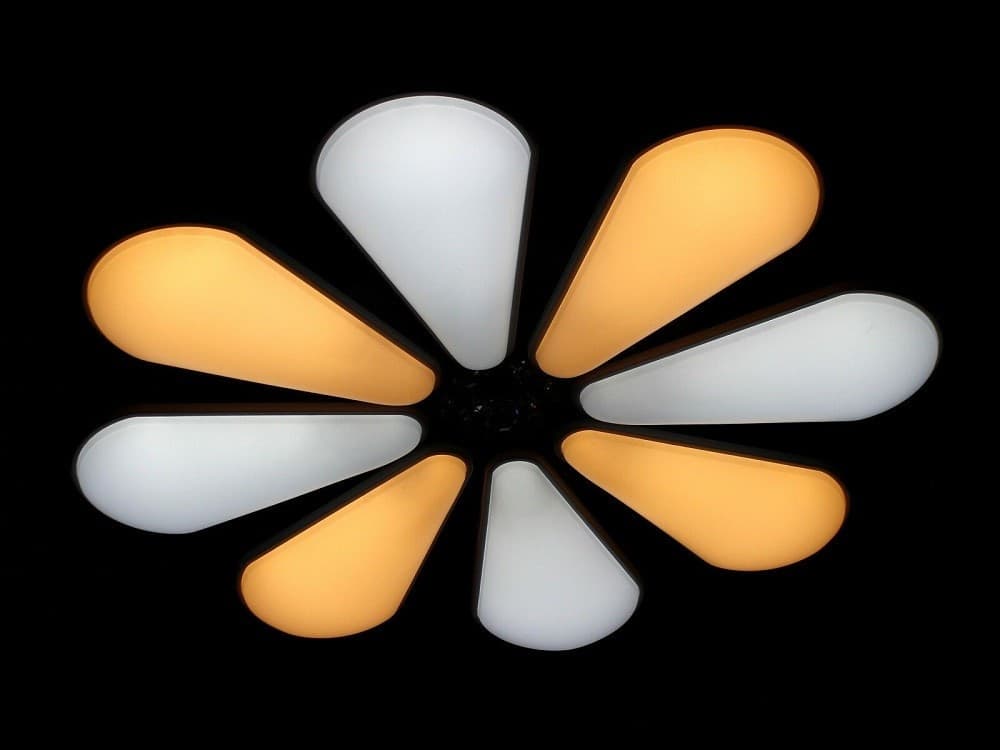 LAMPADARIO A FORMA DI FIORE MODERNO 80 WATT DOPPIA ILLUMINAZIONE PLAFONIERA C10 - 2