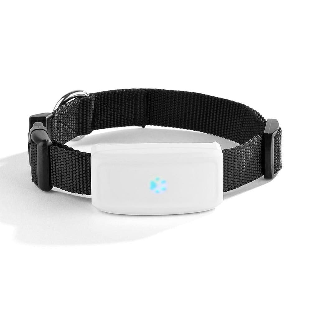 COLLARE LOCALIZZATORE GPS GSM TRACKER PER ANIMALI CANE GATTO CON COLLARE - 2