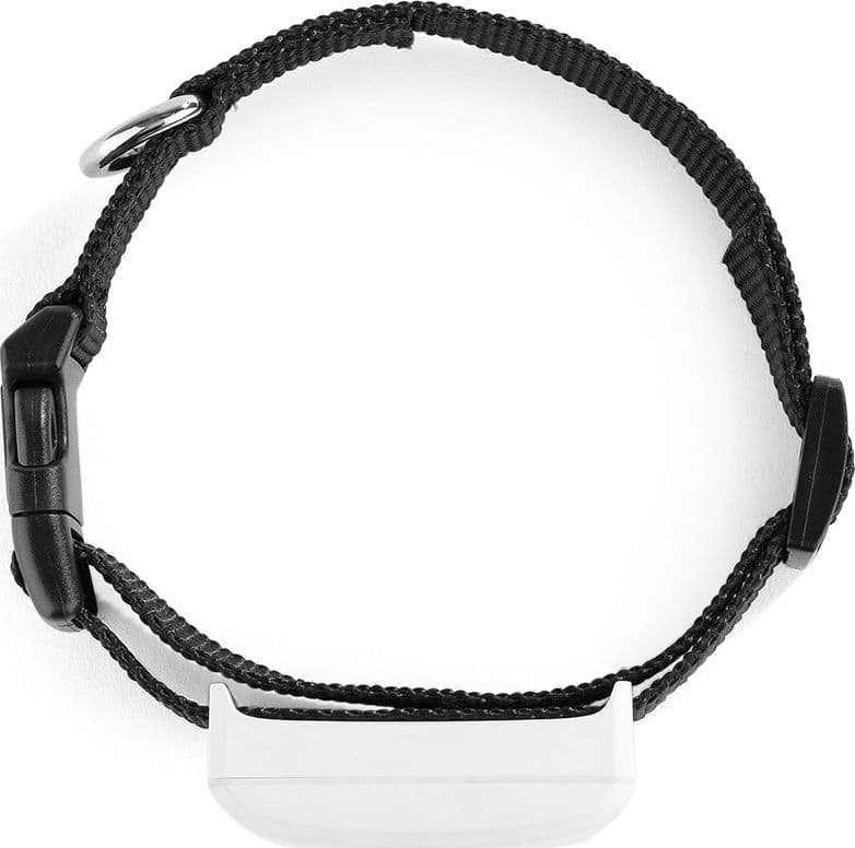 COLLARE LOCALIZZATORE GPS GSM TRACKER PER ANIMALI CANE GATTO CON COLLARE - 5