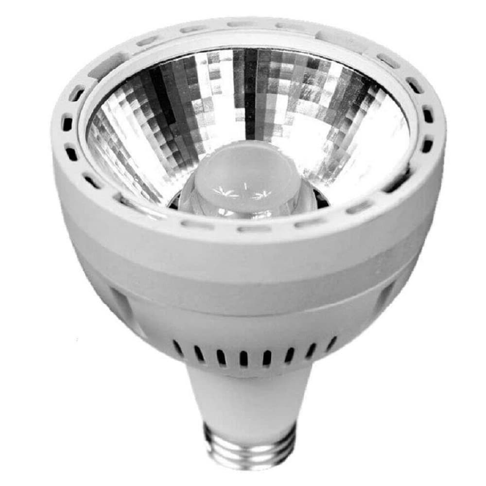 LAMPADINA LED COB PAR30 E27 36 WATT FARETTO LUCE 3000K 4000K 6500K BIANCO P30-2B - 2
