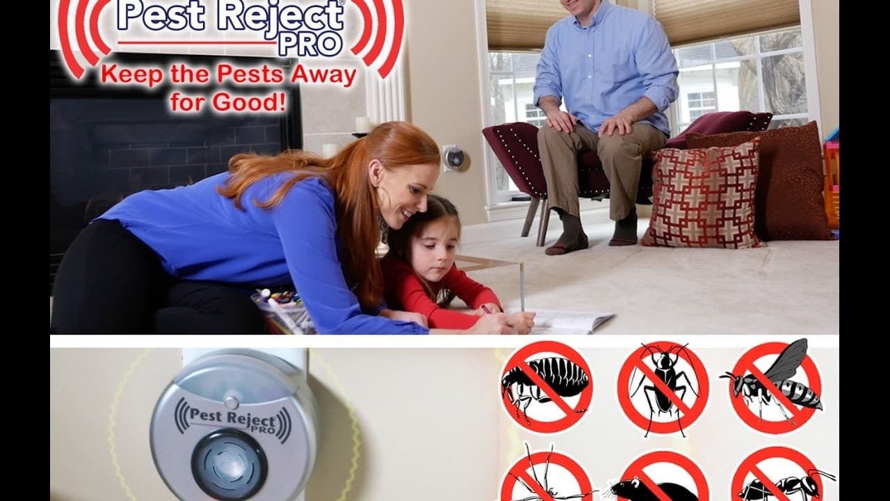 INSETTICIDA REPELLENTE ELETTRICO AD ULTRASUONI SCACCIA INSETTI RODITORI BLATTE - 4