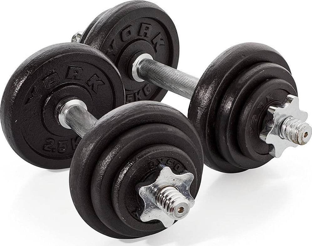 SET DI MANUBRI IN GHISA YORK FITNESS 20KG FORATURA 2,54CM ALLENAMENTO PALESTRA - 3