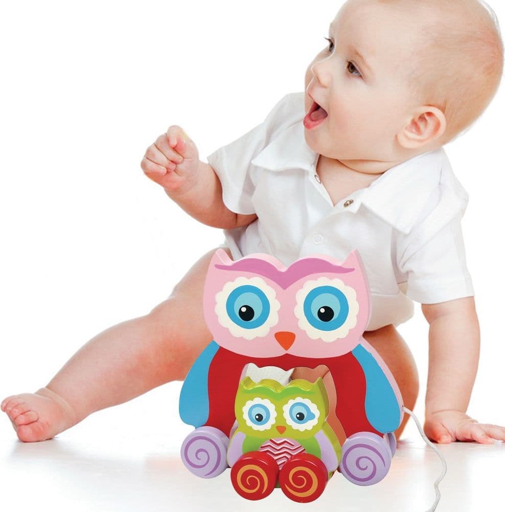 GIOCO GUFETTO LEGNO TRAINABILE GUFO GIOCATTOLO PER BAMBINI DA TIRARE 18CM ROSA - 2