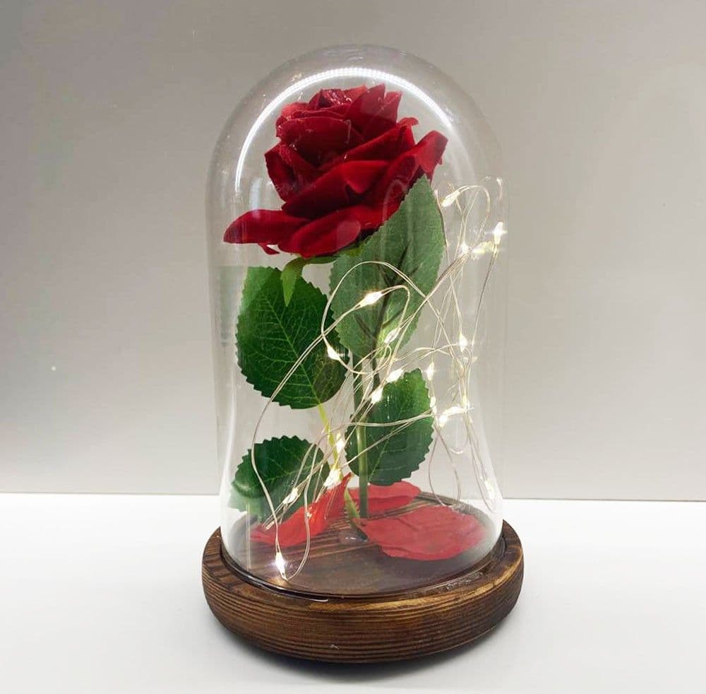 ROSA ETERNA INCANTATA LA BELLA E LA BESTIA IN CUPOLA CON BASE LEGNO E LUCI A LED