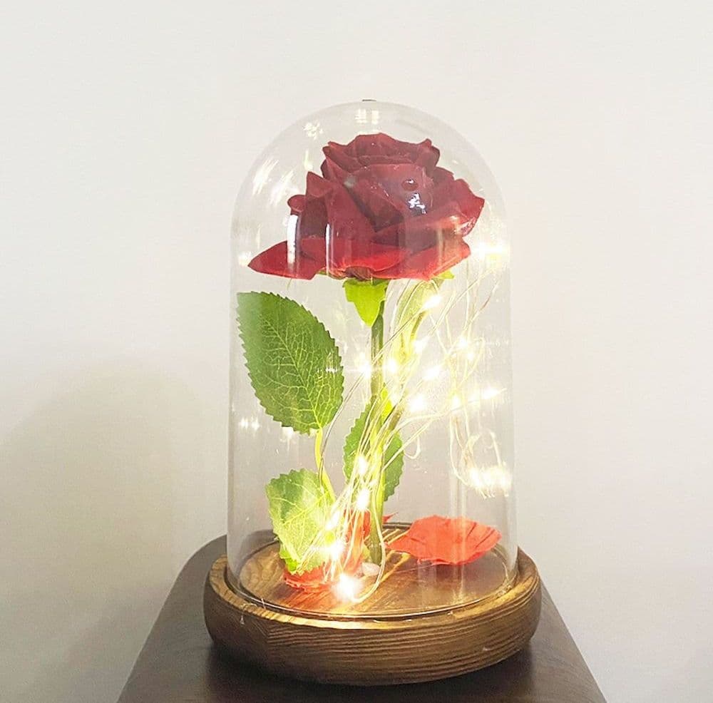 ROSA ETERNA INCANTATA LA BELLA E LA BESTIA IN CUPOLA CON BASE LEGNO E LUCI A LED - 3