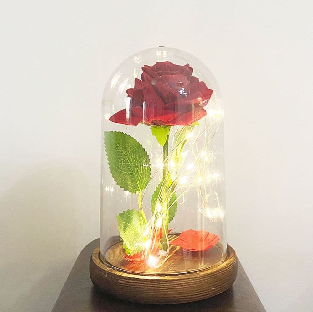 ROSA ETERNA INCANTATA LA BELLA E LA BESTIA IN CUPOLA CON BASE LEGNO E LUCI A LED - 3