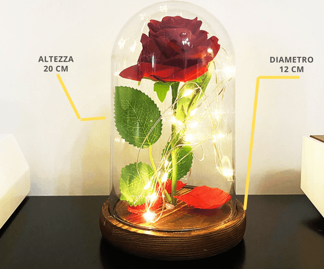 ROSA ETERNA INCANTATA LA BELLA E LA BESTIA IN CUPOLA CON BASE LEGNO E LUCI A LED - 5
