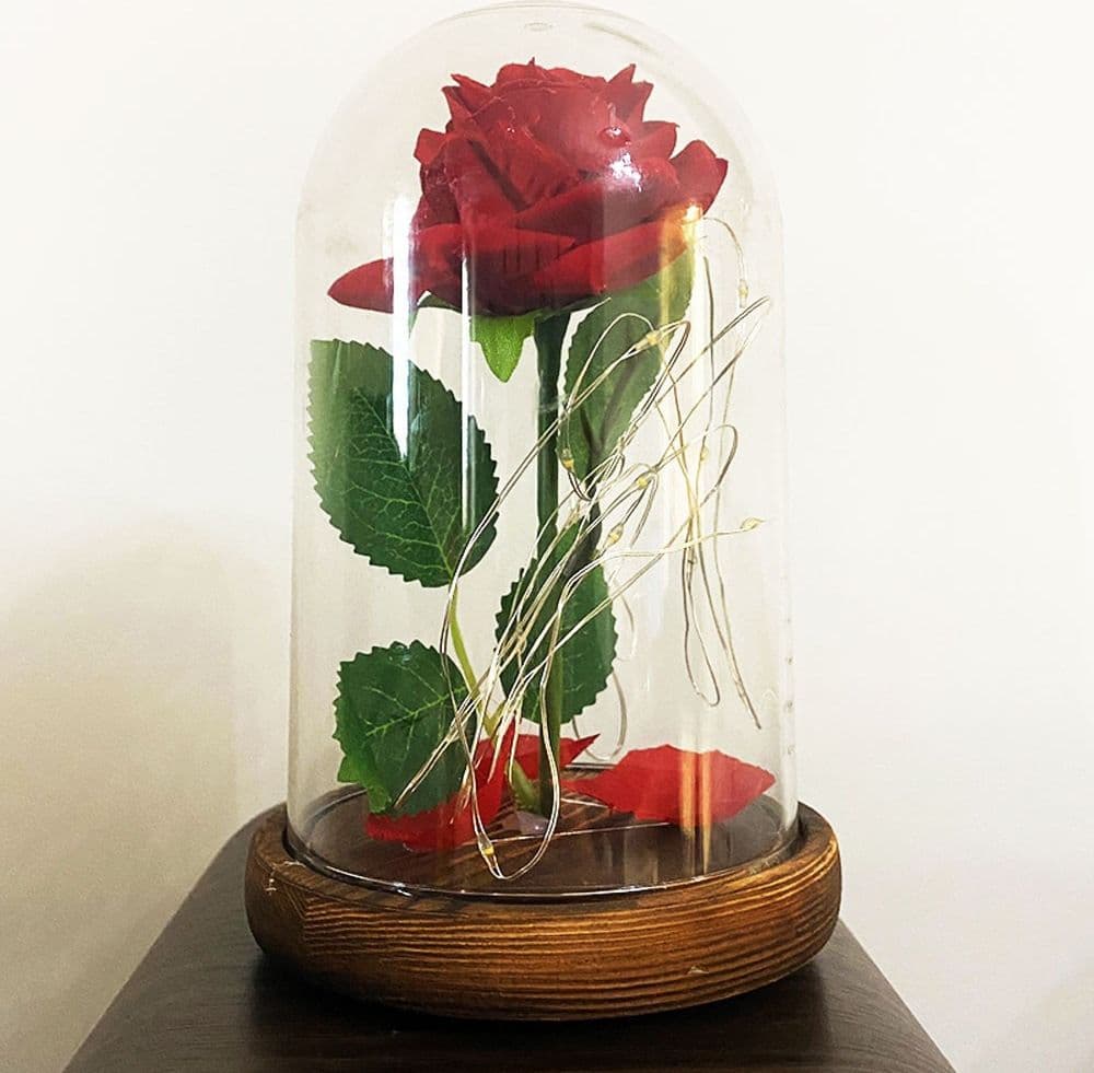 ROSA ETERNA INCANTATA LA BELLA E LA BESTIA IN CUPOLA CON BASE LEGNO E LUCI A LED - 6