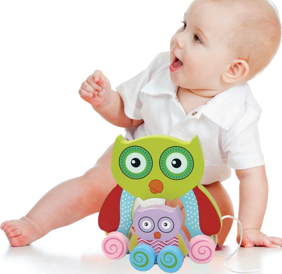 GIOCO GUFETTO LEGNO TRAINABILE GUFO GIOCATTOLO PER BAMBINI DA TIRARE 18CM VERDE - 2