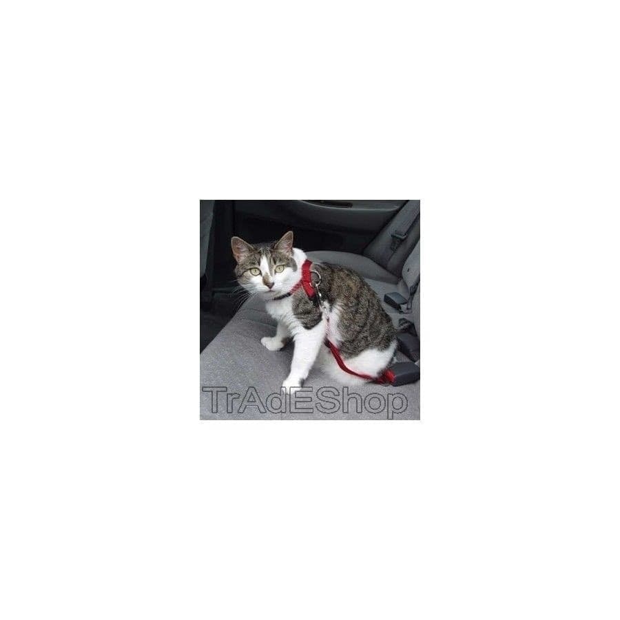 CINTURA DI SICUREZZA PER CANI CANE GUINZAGLIO REGOLABILE AUTO UNIVERSALE - 3