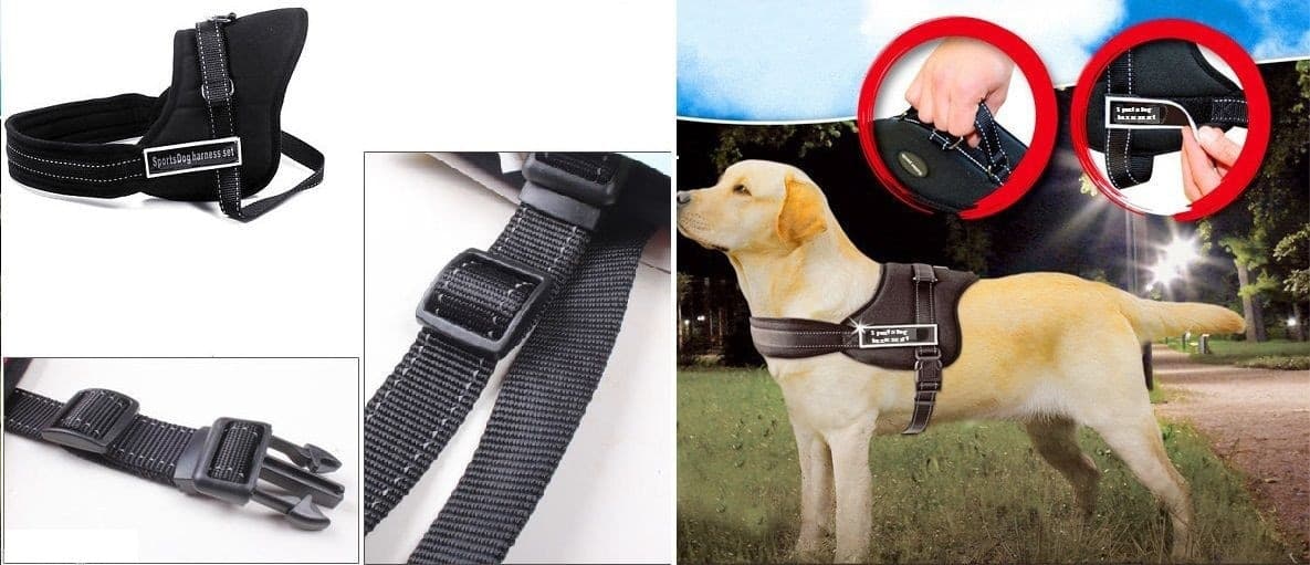 GUINZAGLIO ADDESTRA CANI IMBRACATURA COLLARE CANE SPORTS DOG HARNESS SET - 2